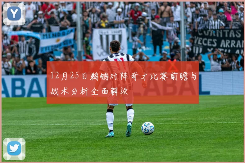 12月25日鹈鹕对阵奇才比赛前瞻与战术分析全面解读