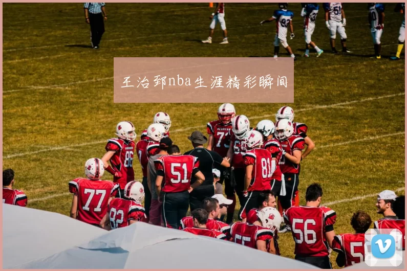 王治郅nba生涯精彩瞬间