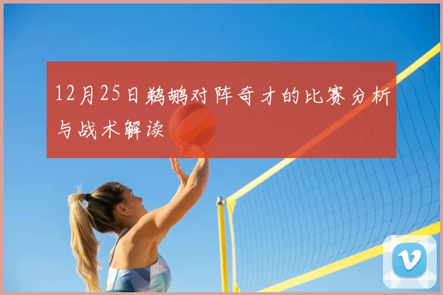 12月25日鹈鹕对阵奇才的比赛分析与战术解读