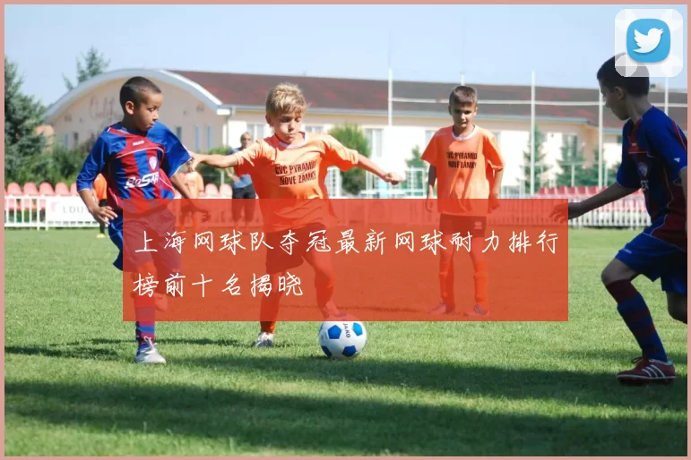 上海网球队夺冠最新网球耐力排行榜前十名揭晓
