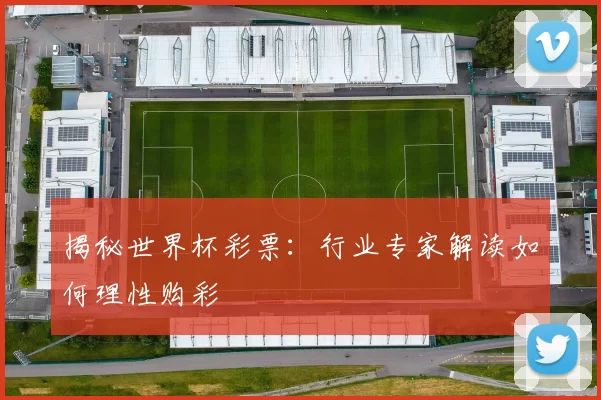 揭秘世界杯彩票:行业专家解读如何理性购彩
