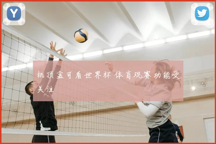 机顶盒可看世界杯 体育观赛功能受关注