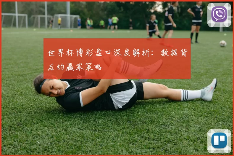 世界杯博彩盘口深度解析：数据背后的赢家策略