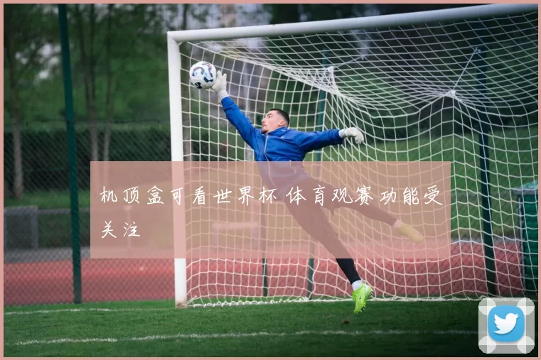 机顶盒可看世界杯 体育观赛功能受关注