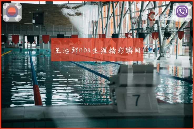 王治郅nba生涯精彩瞬间